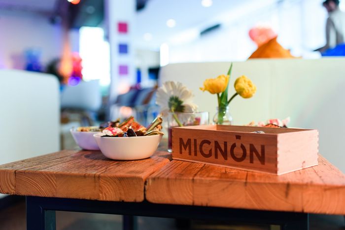 MIGNON-Catering-Kiste mit Tulpen und Speisen auf der Trabrennbahn Bahrenfeld